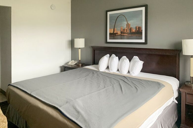 Hotel Lake St Loius