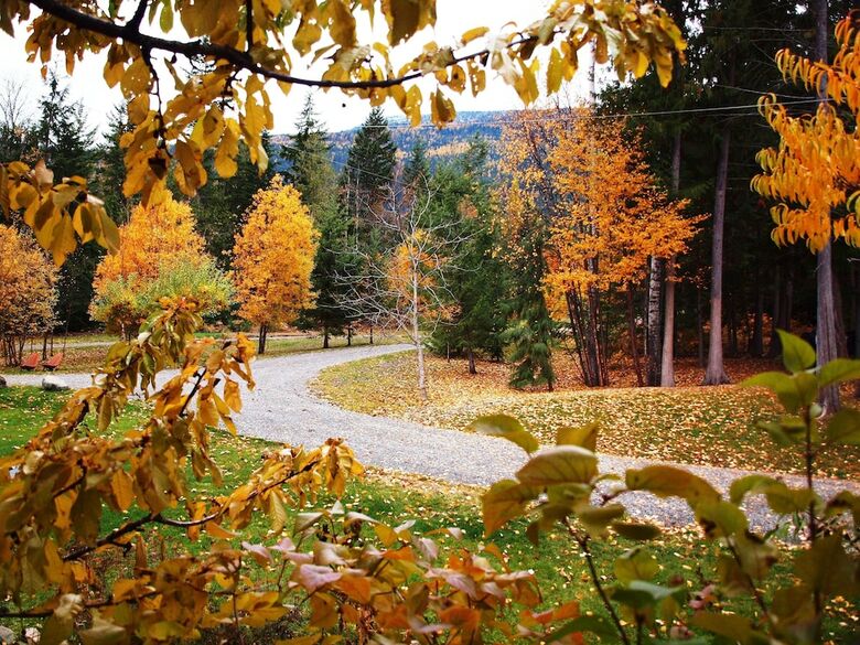 Wing Creek Resort
