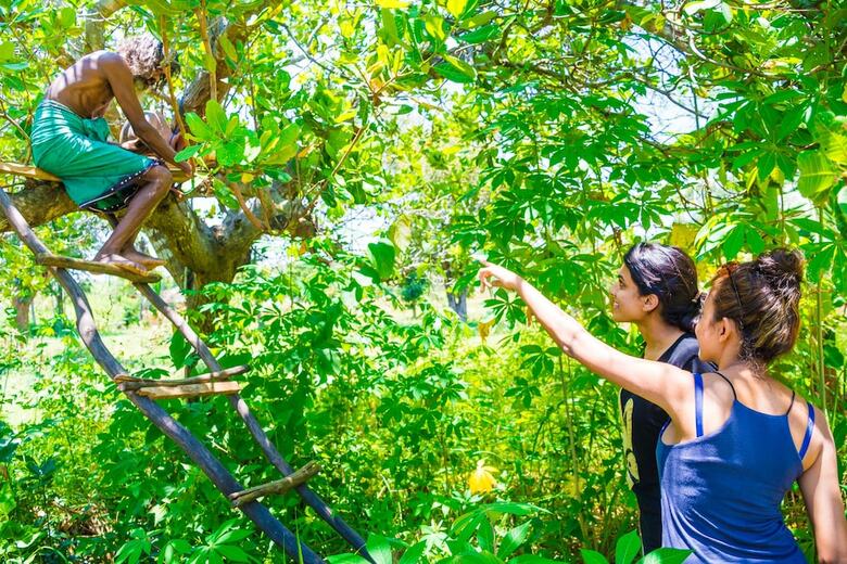 Hotel Mapakada Village
