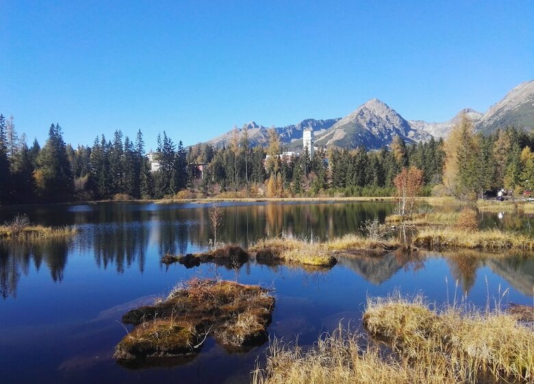 Pension Penzion Pleso