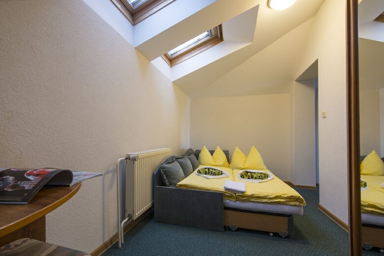 Pension Penzion Pleso