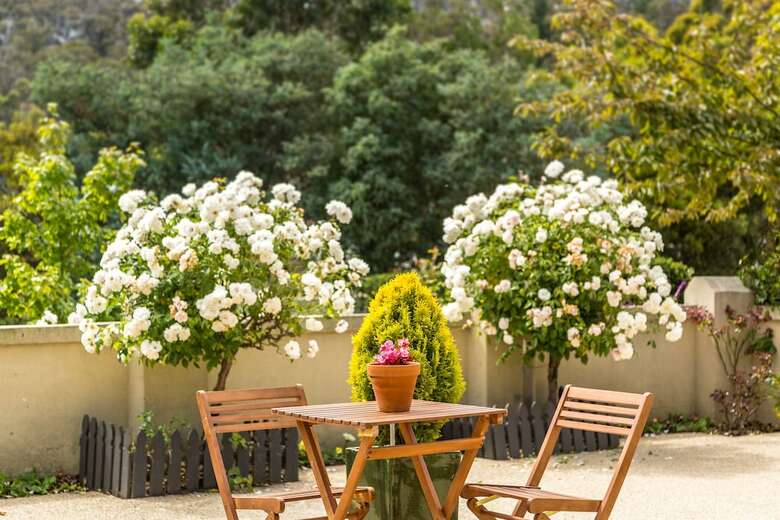 Brightwater Bed And Breakfast
