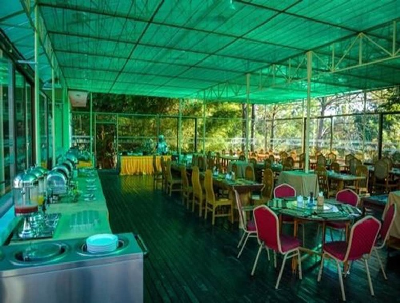 Hotel Pine Hill Resort