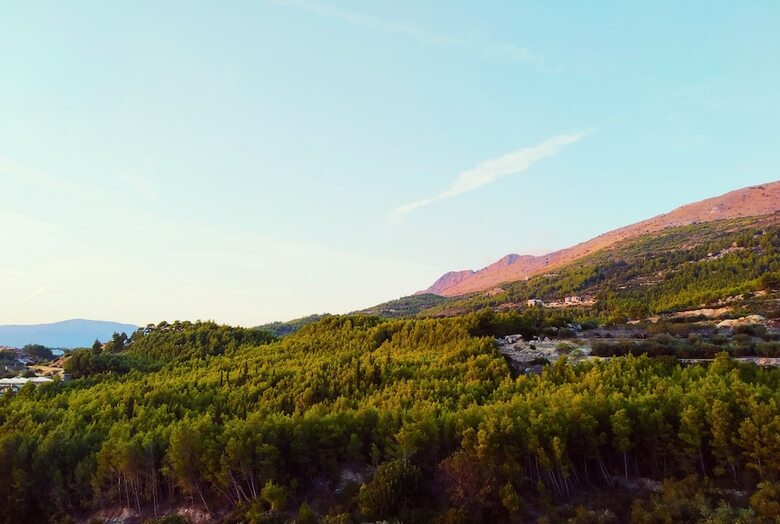 Apartamentos Villa Lavanda