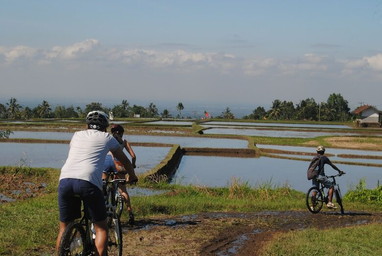 Hotel Tepi Sawah Lodge