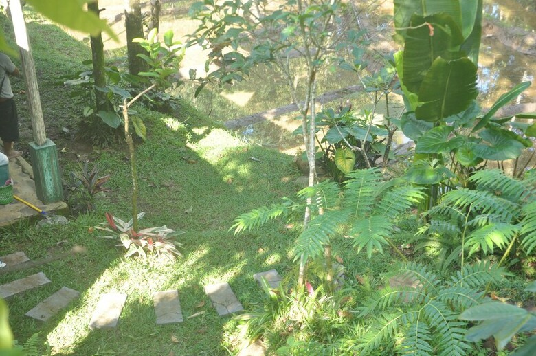 Hotel Tepi Sawah Lodge