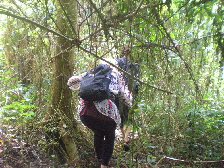 Hotel Tepi Sawah Lodge