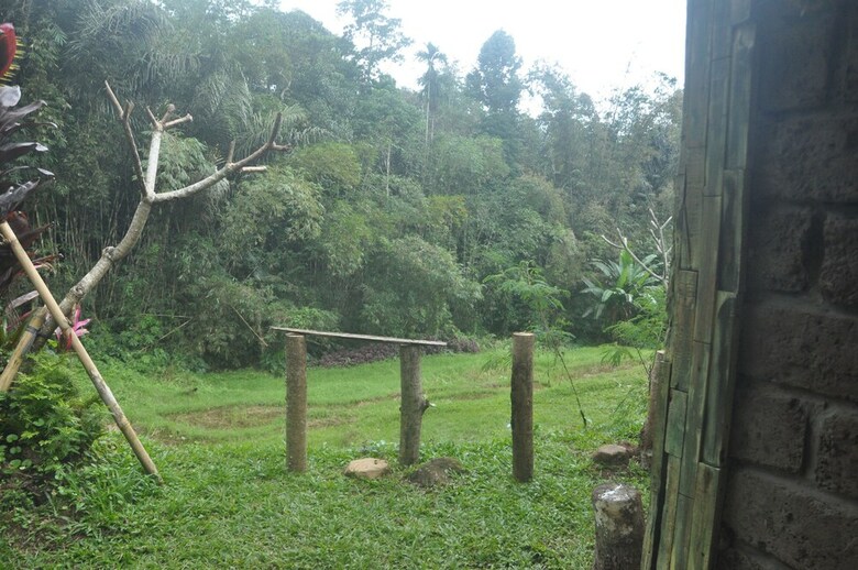 Hotel Tepi Sawah Lodge