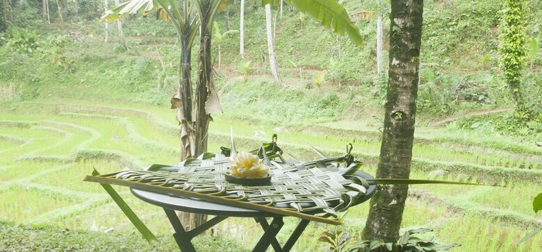 Hotel Tepi Sawah Lodge