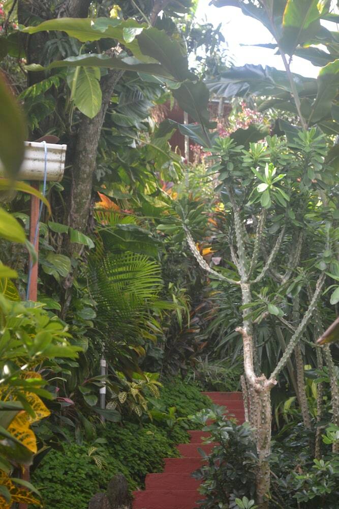 Bed & Breakfast Eden Atenas