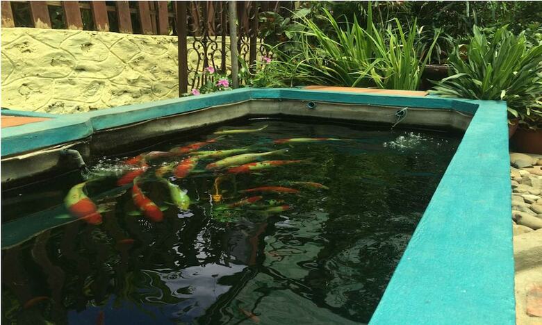Hotel Vanvisa Guesthouse