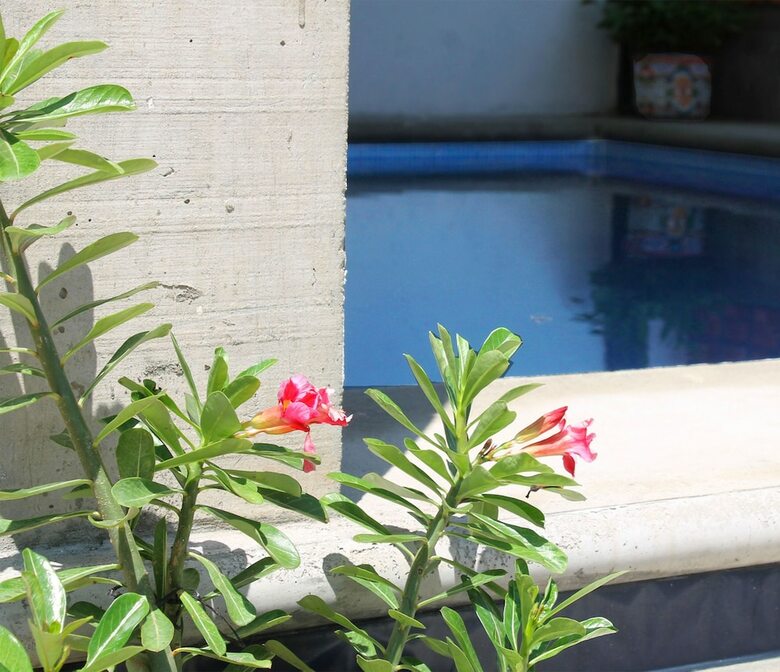 Aparthotel Mes�n Del Perro
