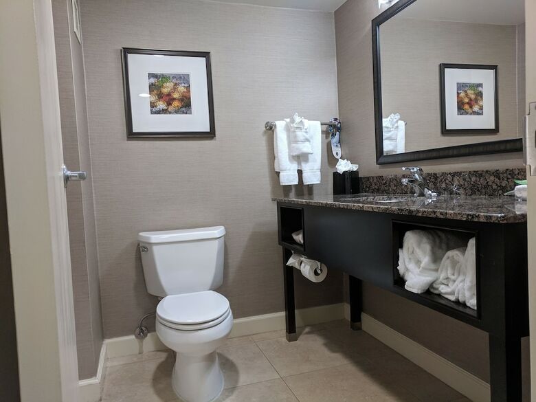 Hotel Holiday Inn Charlotte University Executive Park