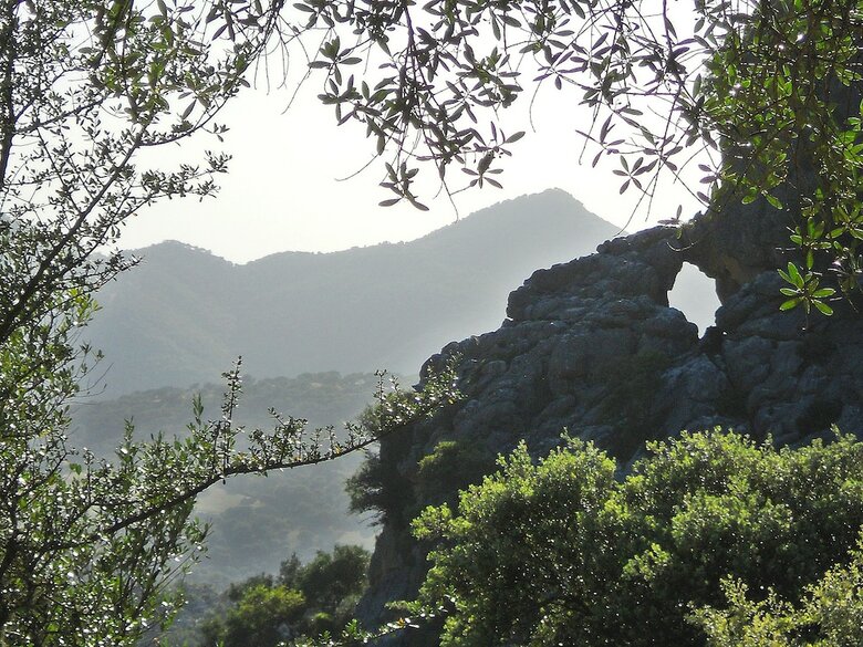 Apartamentos Los Chozos