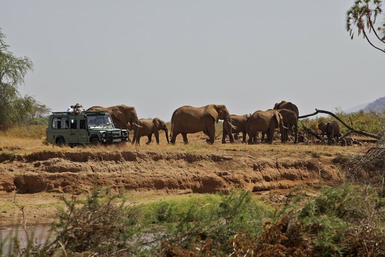 Ashnil Samburu Camp