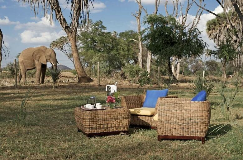 Ashnil Samburu Camp