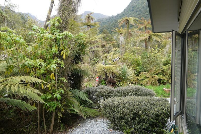 Franz Josef Treetops