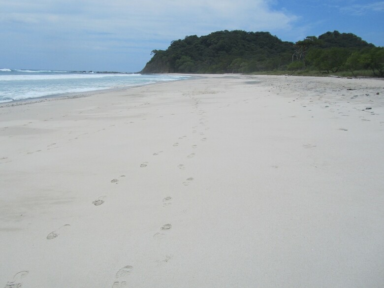 Posada Paraiso Del Cocodrilo