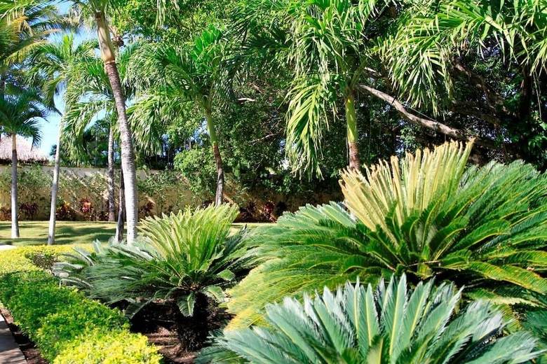 Garden Condos