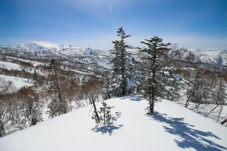 Hotel Sheraton Hokkaido Kiroro Resort