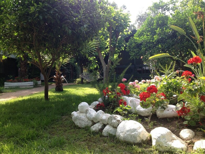 Bed & Breakfast Bellerofon Hotel
