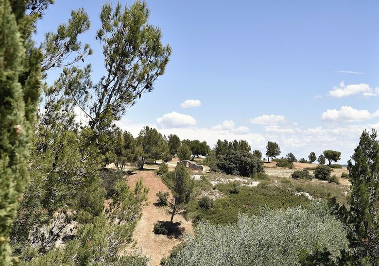 Apartamento Les Garrigues De La Vall�e Des Baux