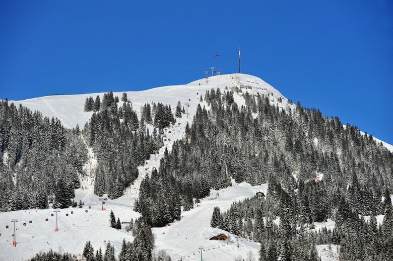 Apartamentos Alpine Homes - Haus Haggenm�ller