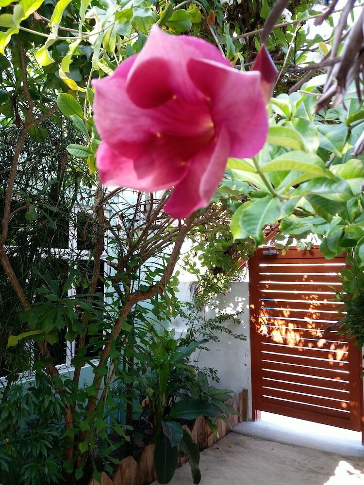 Hotel Ras Village