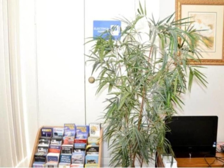 Hostal Dc International Hostel 1