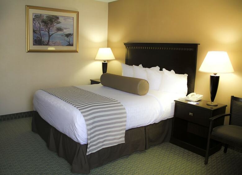 Hotel Ramada By Wyndham East Syracuse Carrier Circle