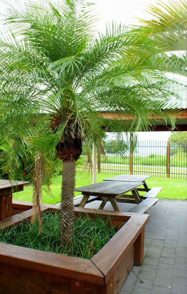 Wongai Beach Hotel