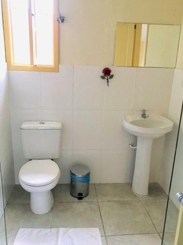 Hostal Pousada Gabriela