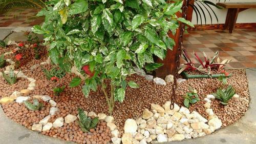 Hostal Pousada Aloes