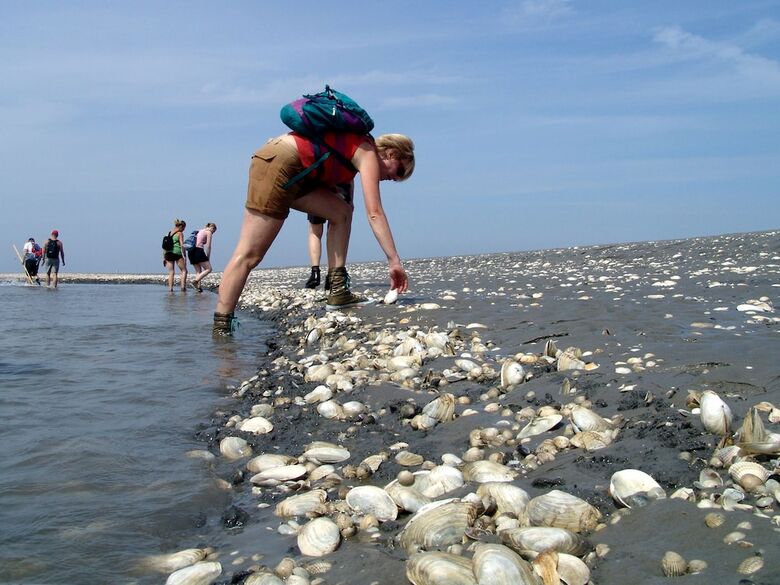 Hotel Waddengenot