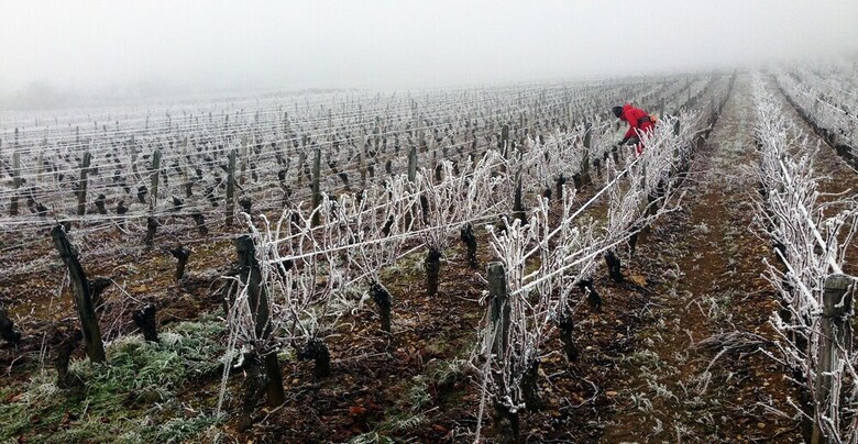 Oeno-tonneaux By Le Clos Du Grand Bois
