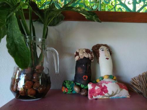 Eco Olinda B&B
