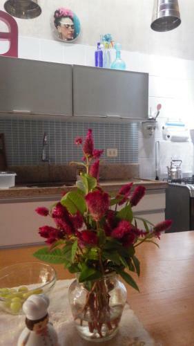 Eco Olinda B&B