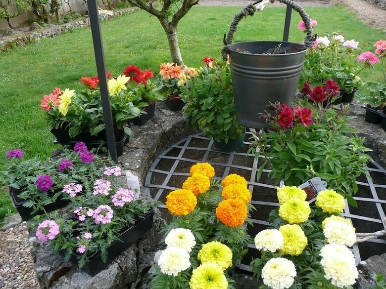 Bed & Breakfast Le Manoir Des Quatre Saisons