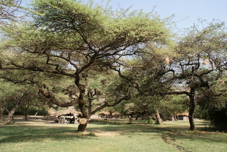 Lake Natron Tented Camp