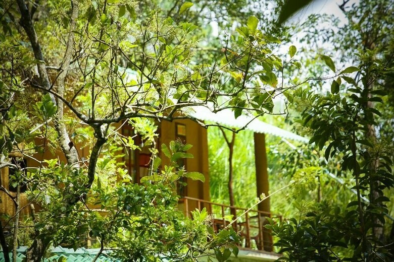 Posada Ella Green Cottages