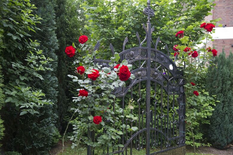 Boutiquehotel Dreesen, Villa Godesberg