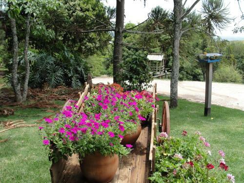 Hostal Pousada Morro Verde