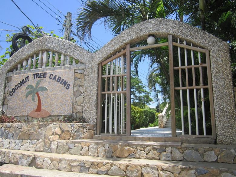 Posada Coconut Tree West End
