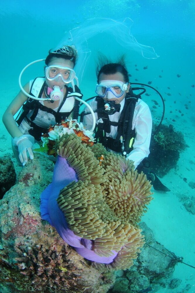 Hotel The Reef Dive Resort