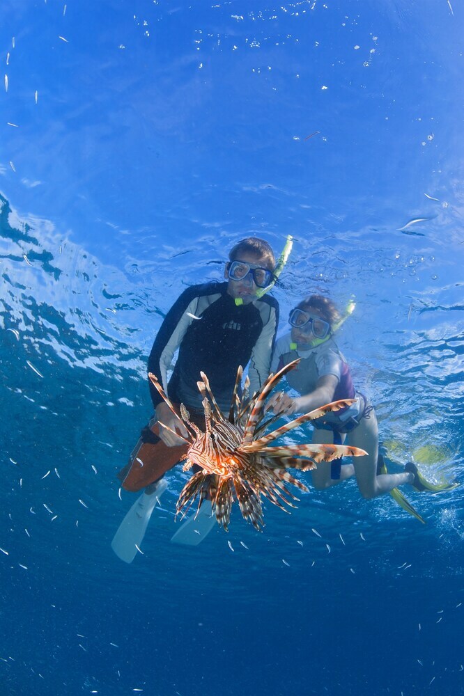 Hotel The Reef Dive Resort