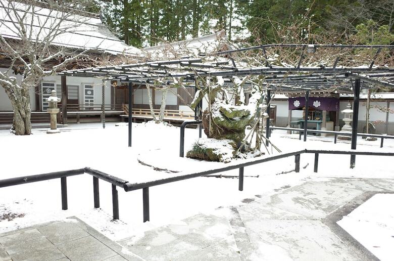 Sojiin