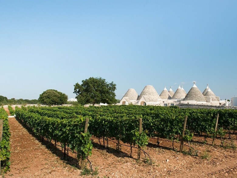 Bed & Breakfast Nina Trulli Resort