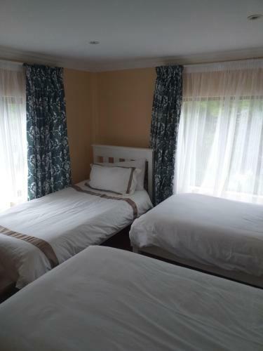 Hotel Alpine Inn