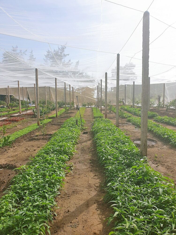 Hotel Hodota Resort Center