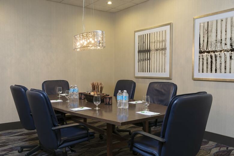 Hotel Holiday Inn Chicago - Elk Grove
